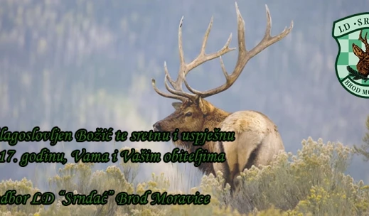 V8U3WulTbJt0sZT4cMueEMCk V8U3WulTbJt0sZT4cMueEMCk